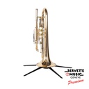 Besson Sovereign 928 (cornet) verni 2