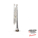 Hagmann Custom 180S37R Vibrabell en Sib-2.webp