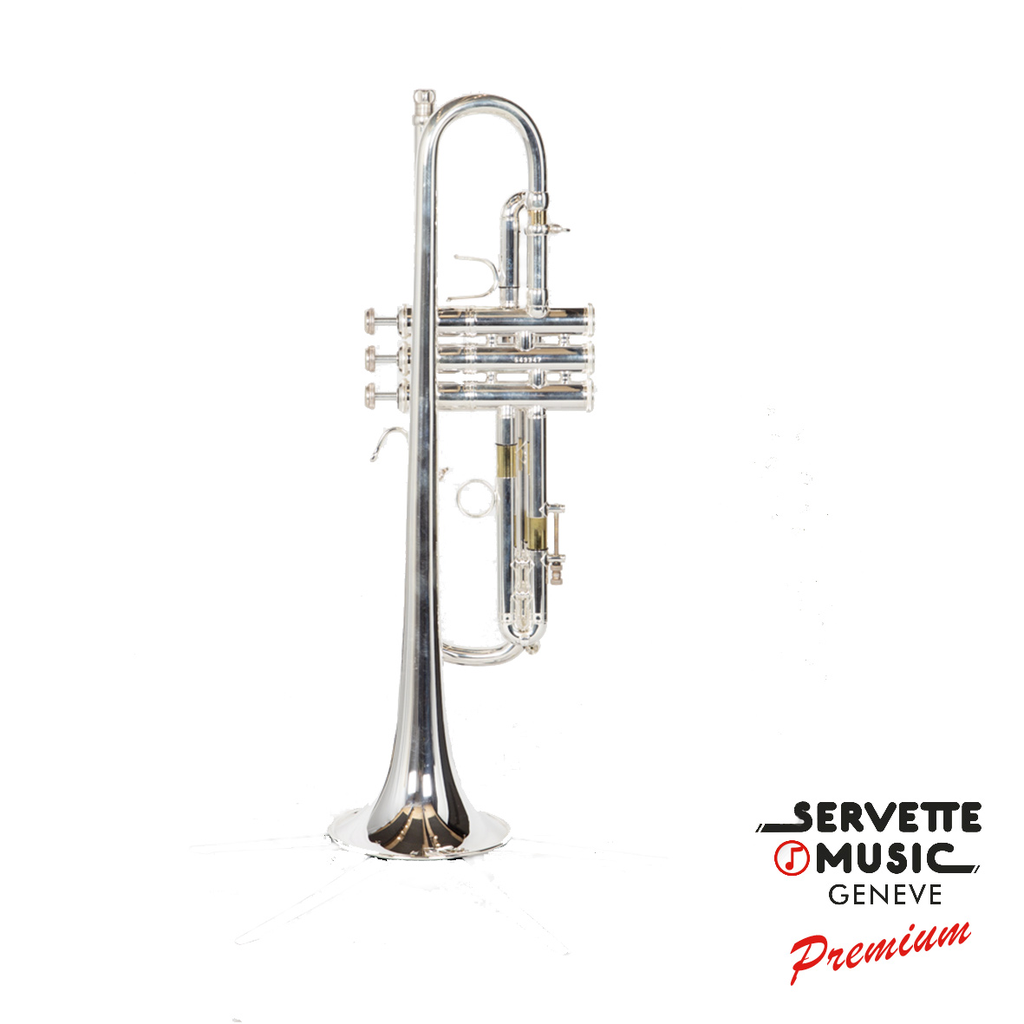 Hagmann Custom 180S37R Vibrabell en Sib-3.webp