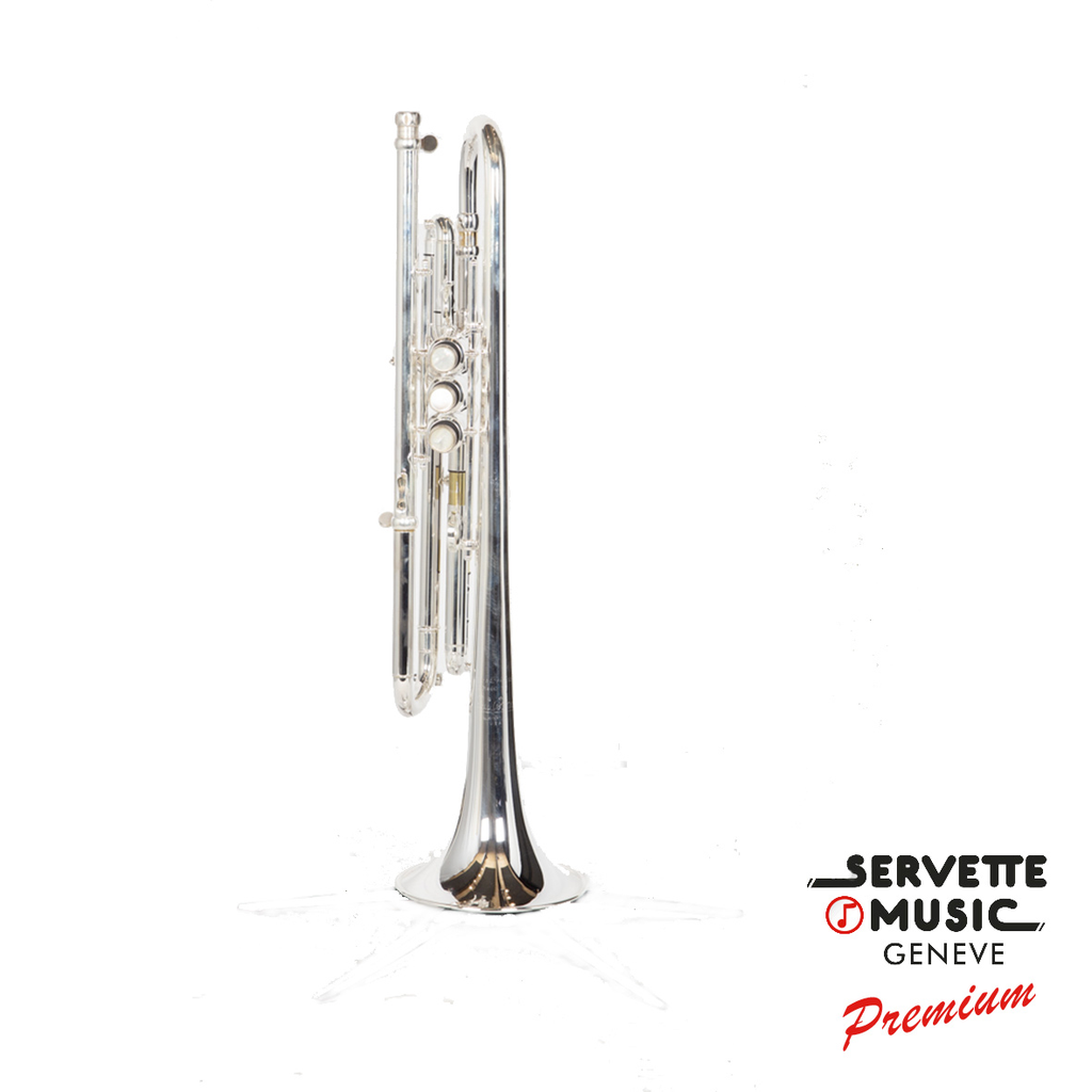 Hagmann Custom 180S37R Vibrabell en Sib-2.webp