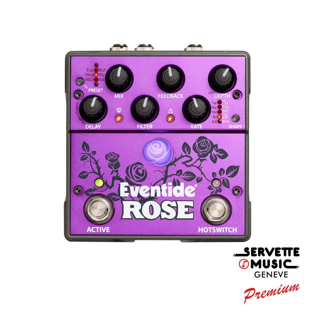 Eventide Rose