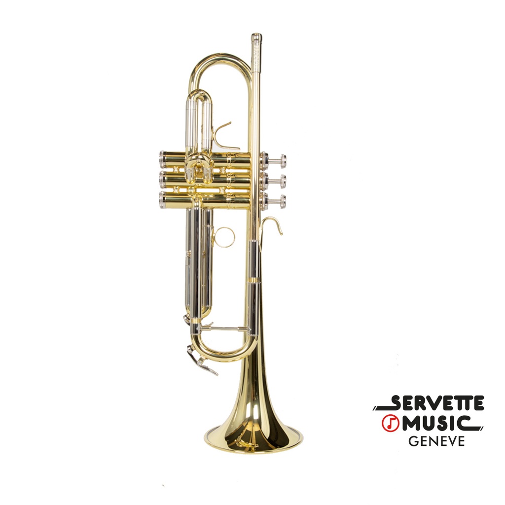 B&S Prodige 210 LR vernie
