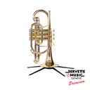 Besson Sovereign 928 (cornet) verni