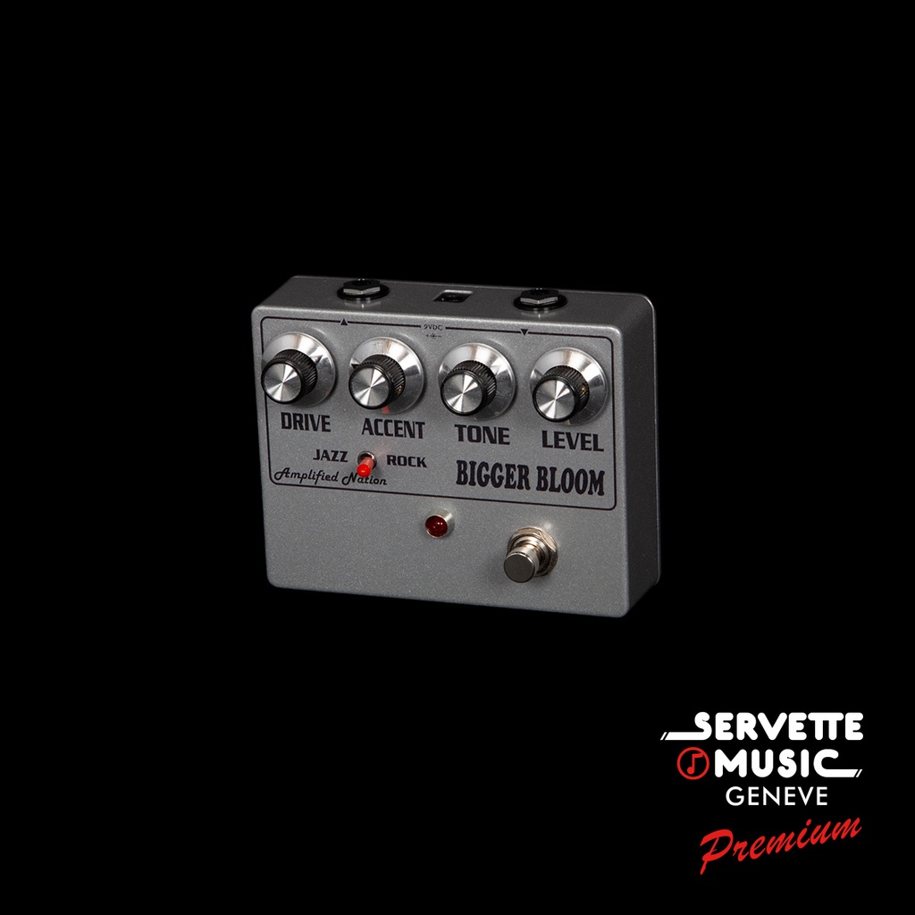 Amplified Nation Bigger Bloom Overdrive