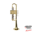 Vincent Bach C180L238 25R "Stradivarius" en Ut