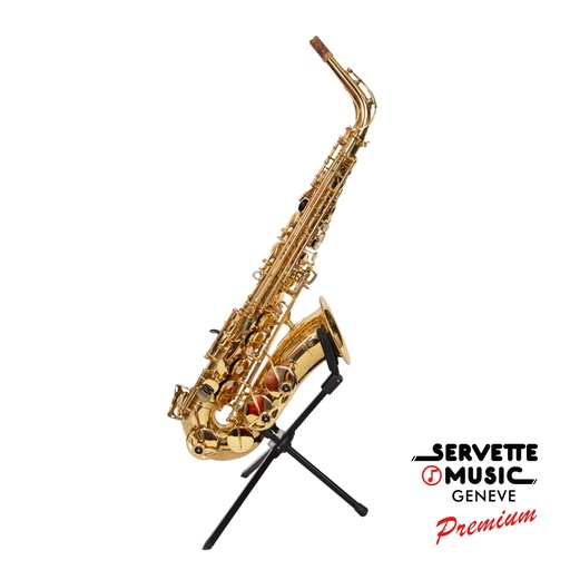 [Yanagisawa Alto 900] Yanagisawa Alto 900