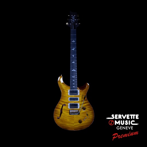 [PRS Special Semi-Hollow 10Top McCarthy Sunburst.] PRS Special Semi-Hollow 10Top McCarthy Sunburst