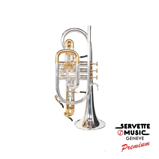 [Eclipse Standard Argenté en Sib] Eclipse Standard Argenté en Sib