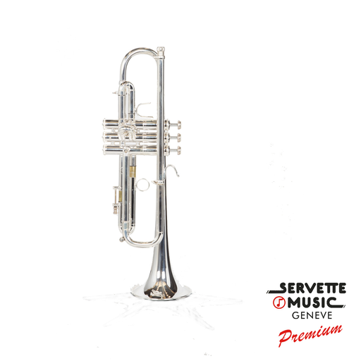[Hagmann Custom 180S37R Vibrabell en Sib] Hagmann Custom 180S37R Vibrabell en Sib